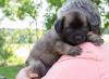 images/T-Wurf/T-Wurf Wo 6/3S8A2678_dunkelgrun.jpg